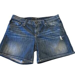 Big Star Remy Low Rise Fit Denim Shorts in a Womens Size 31